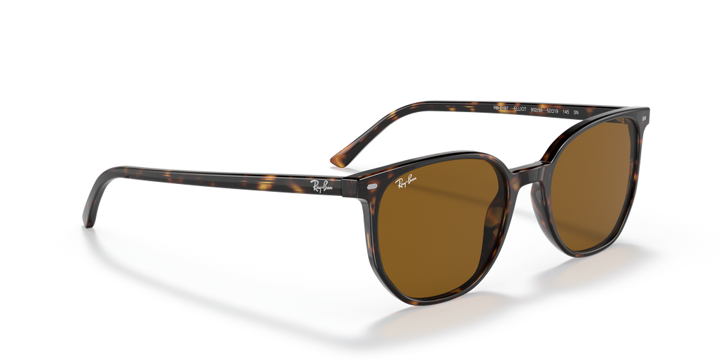 Ray-Ban | 0RB2197