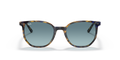 Ray-Ban | 0RB2197
