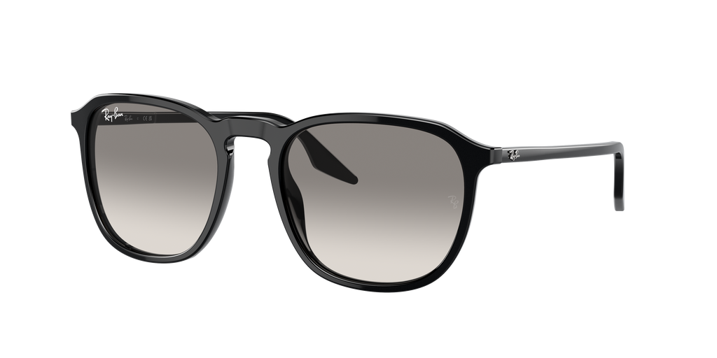 Ray-Ban | 0RB2203