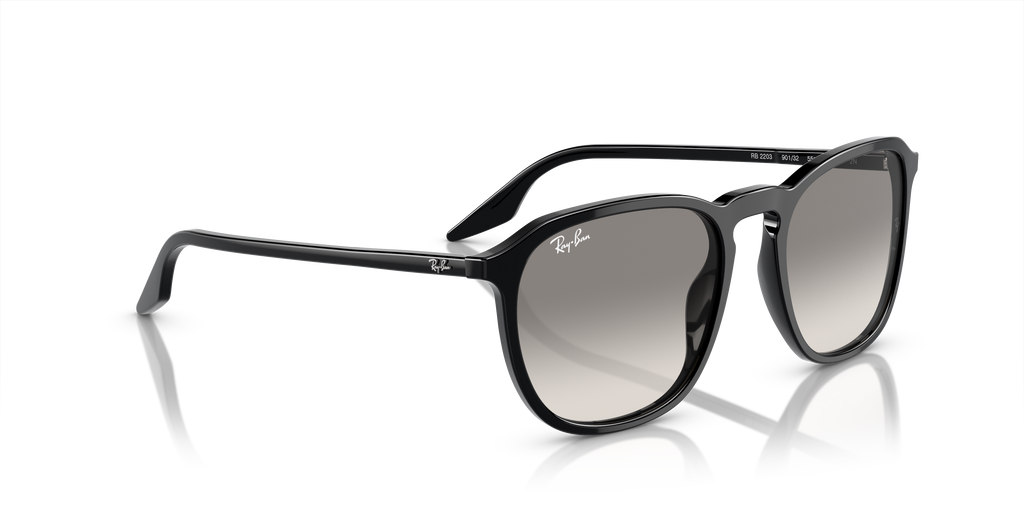 Ray-Ban | 0RB2203