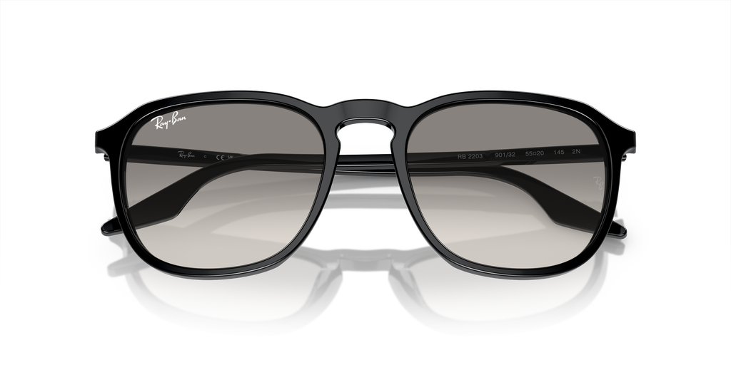 Ray-Ban | 0RB2203