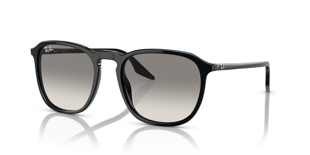 Ray-Ban | 0RB2203