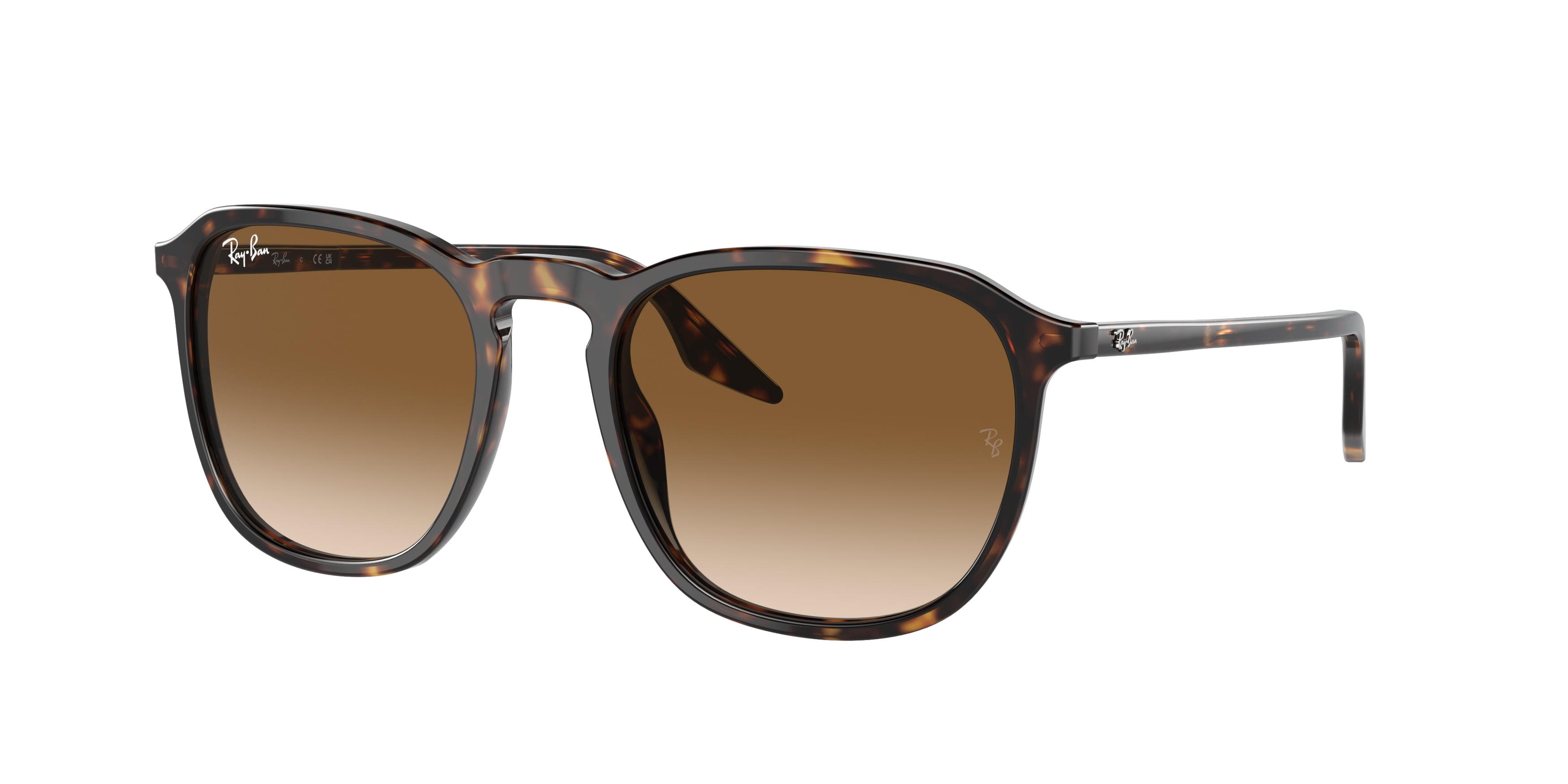 Ray-Ban | 0RB2203
