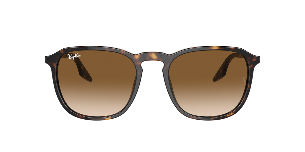 Ray-Ban | 0RB2203