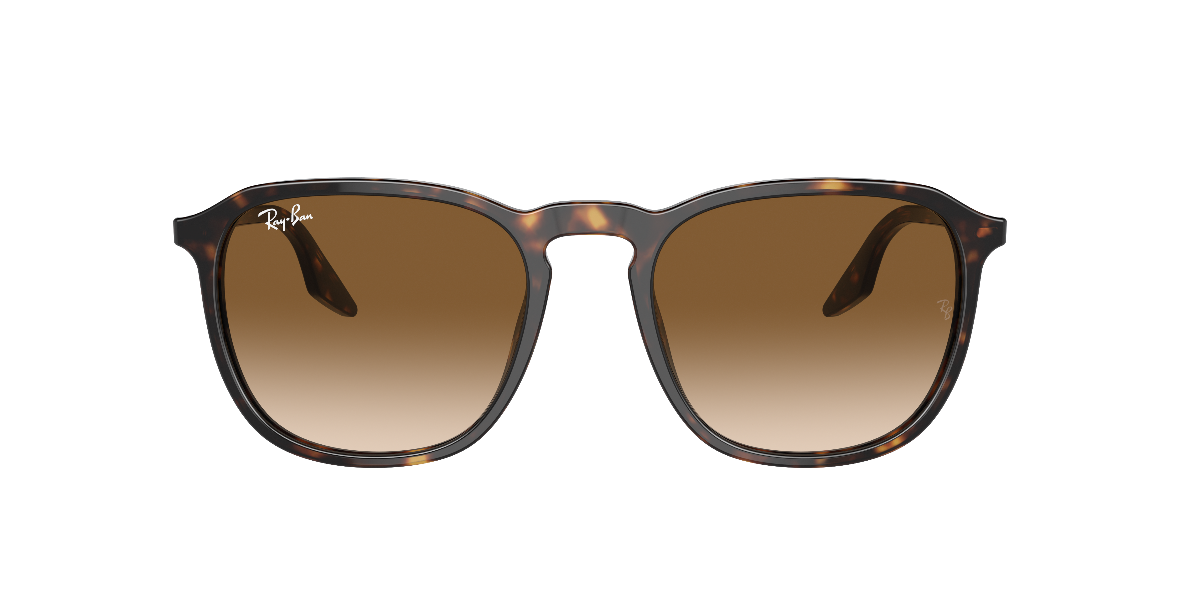 Ray-Ban | 0RB2203