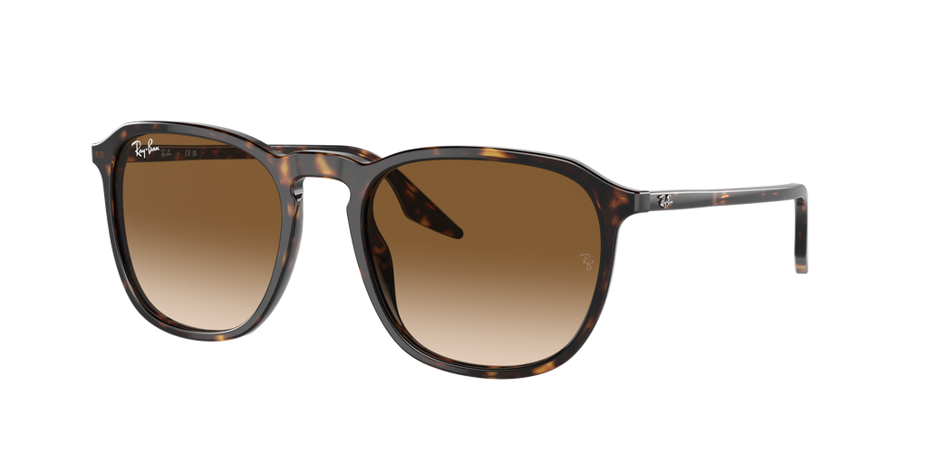 Ray-Ban | 0RB2203