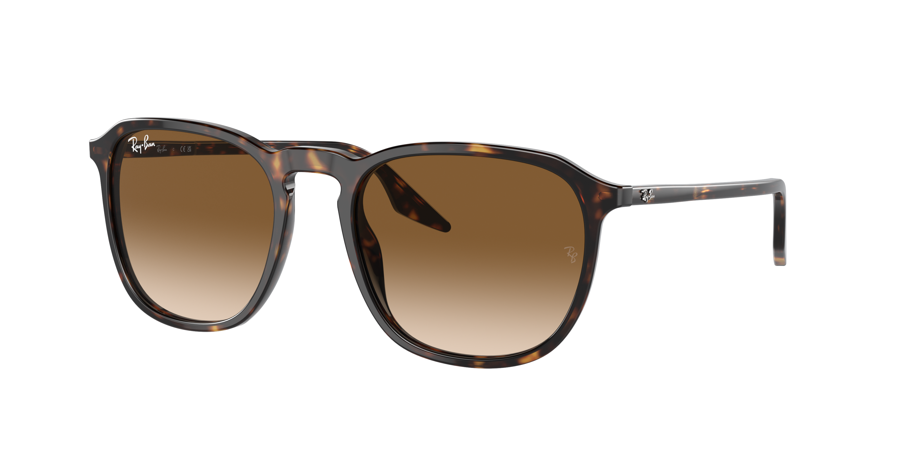 Ray-Ban | 0RB2203