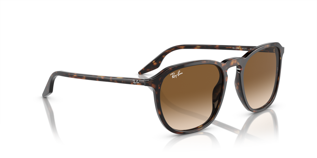 Ray-Ban | 0RB2203