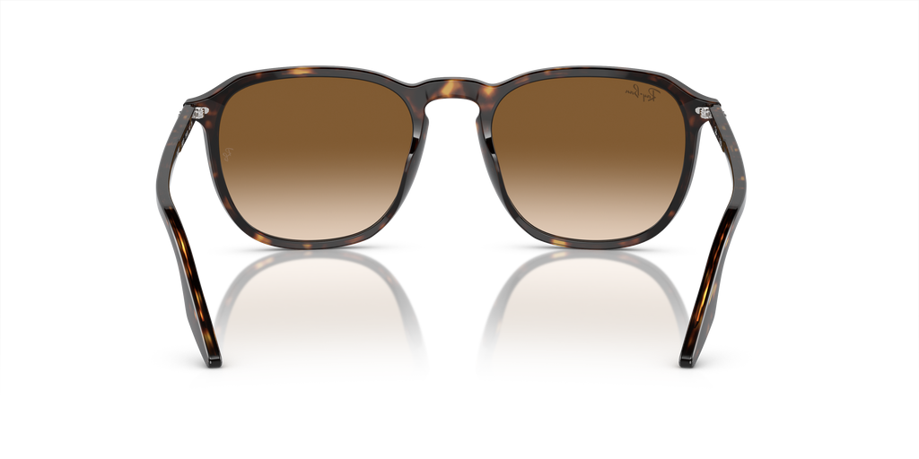 Ray-Ban | 0RB2203