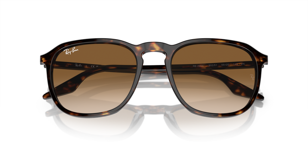 Ray-Ban | 0RB2203