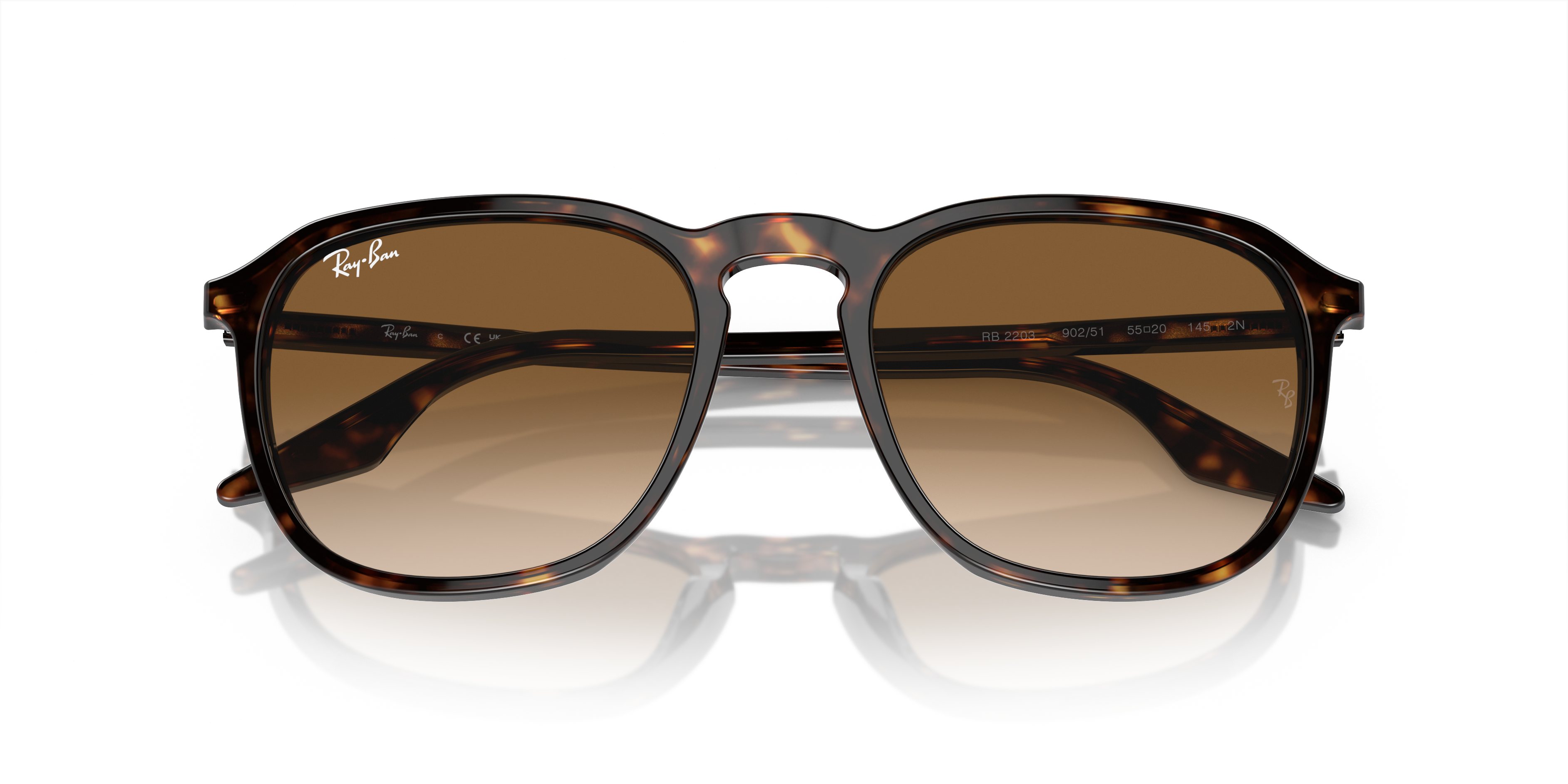 Ray-Ban | 0RB2203