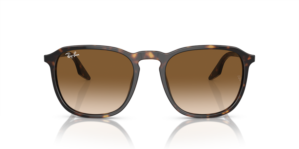 Ray-Ban | 0RB2203