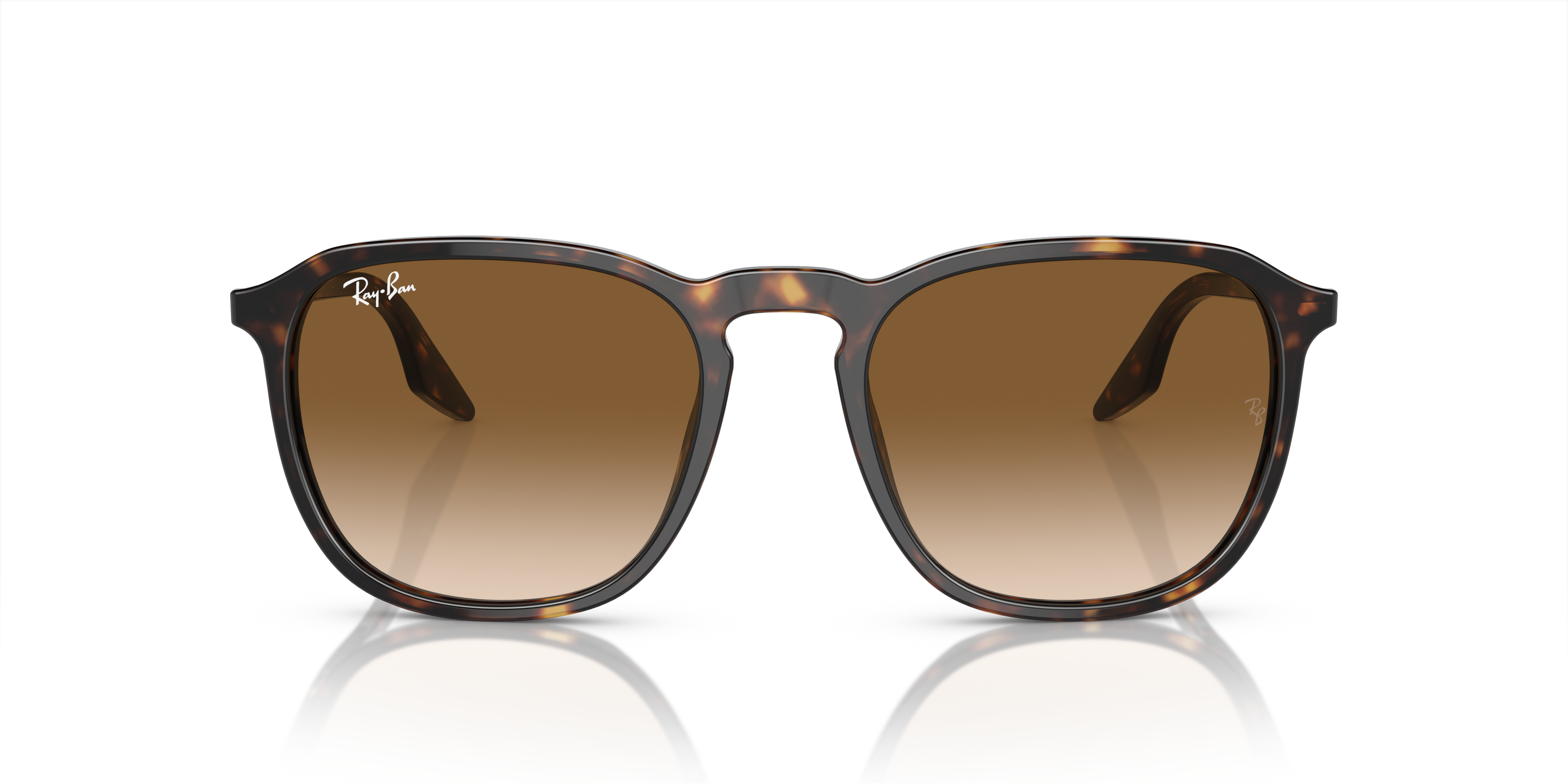 Ray-Ban | 0RB2203