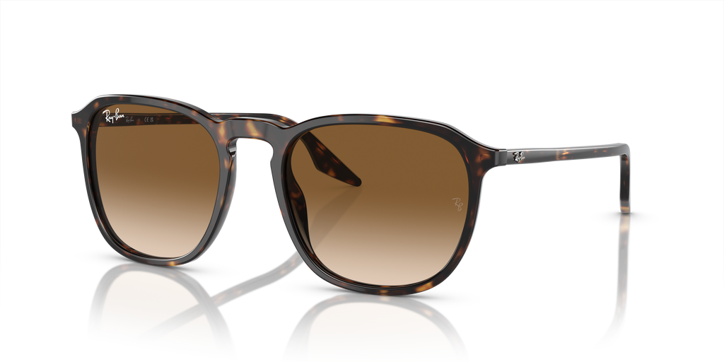 Ray-Ban | 0RB2203