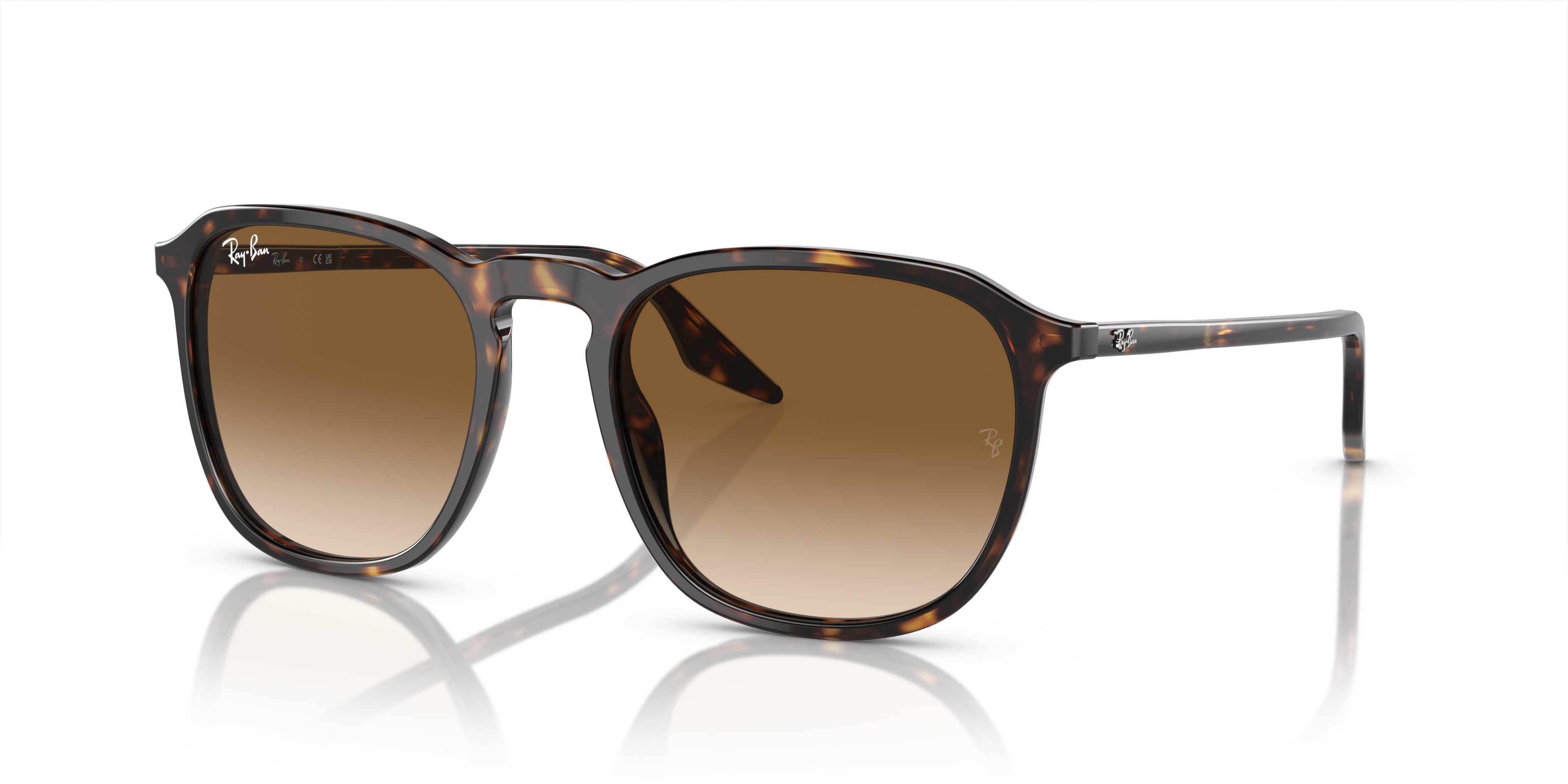 Ray-Ban | 0RB2203