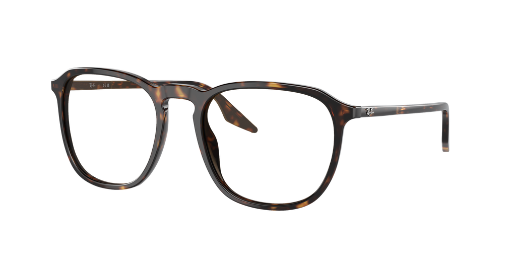 Ray-Ban | 0RB2203