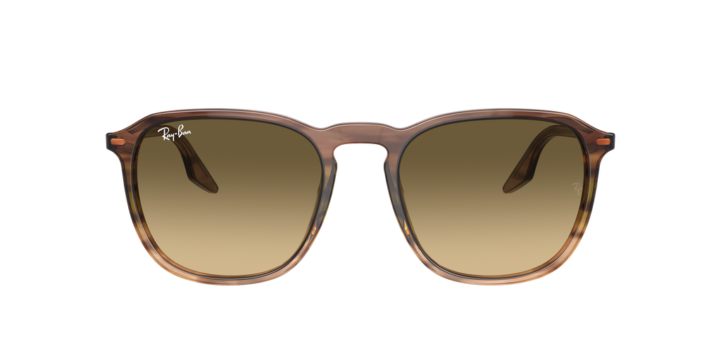 Ray-Ban | 0RB2203