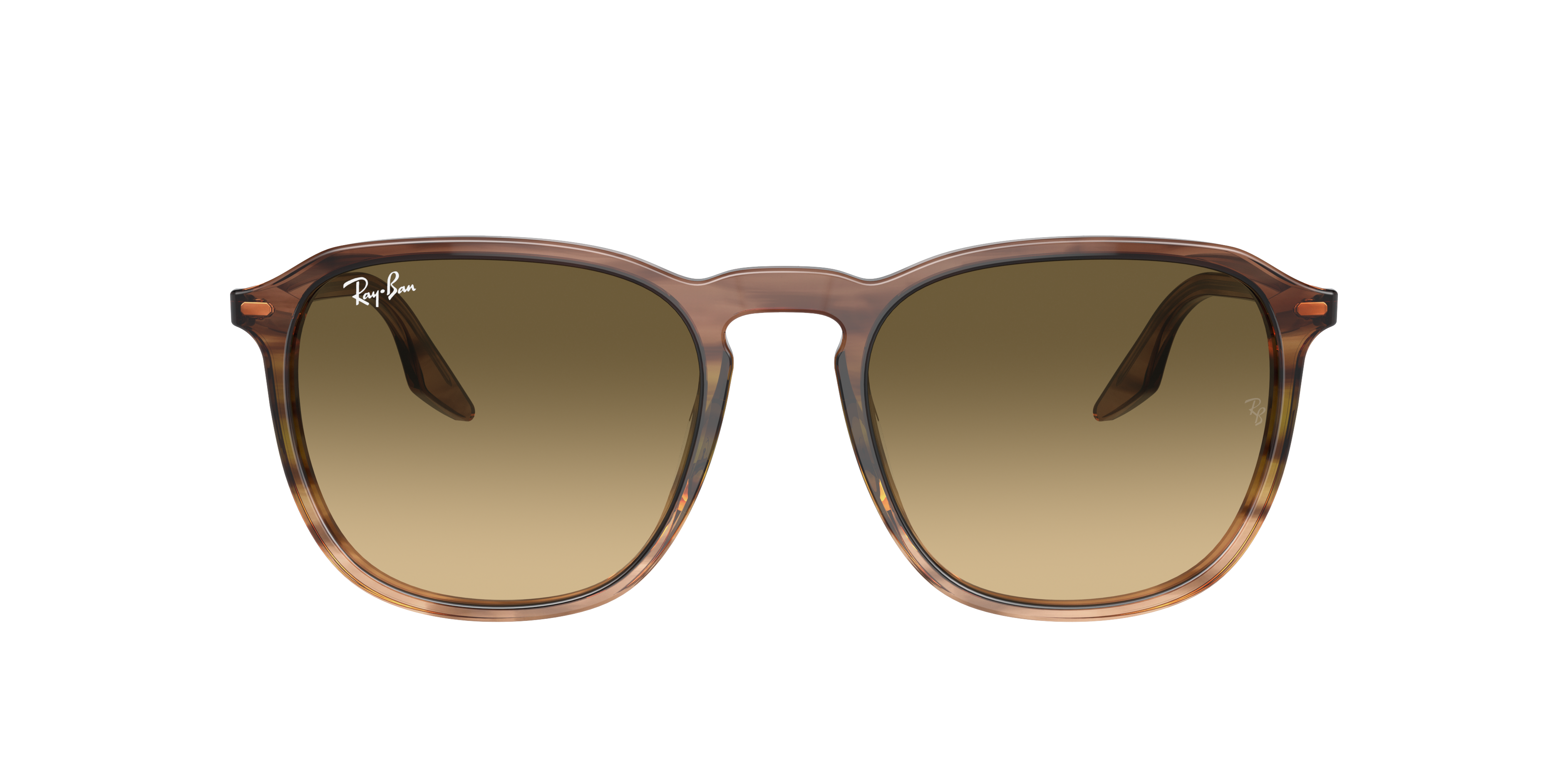 Ray-Ban | 0RB2203