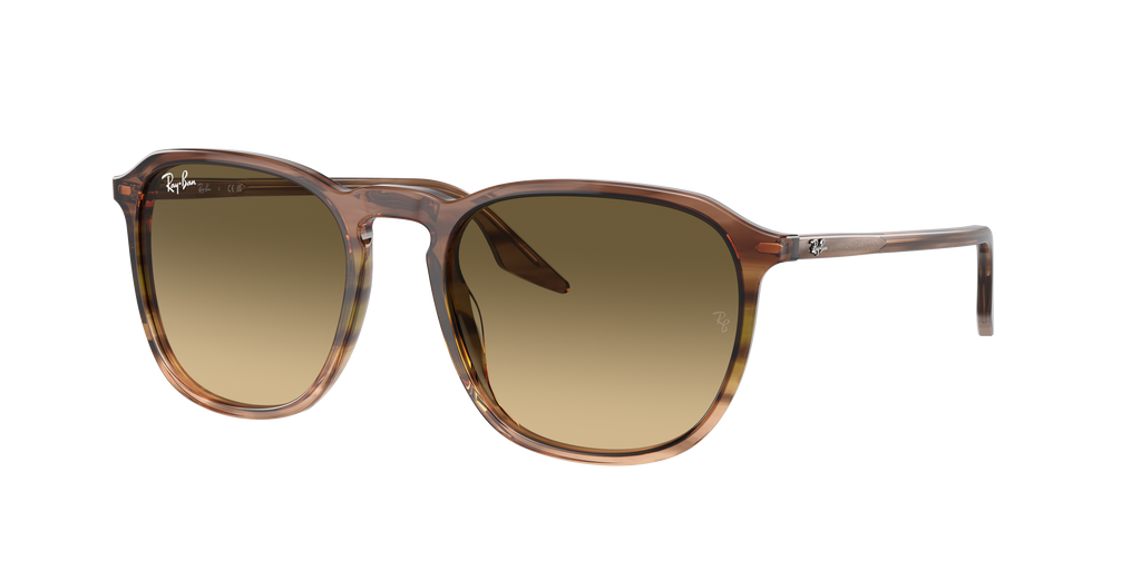 Ray-Ban | 0RB2203