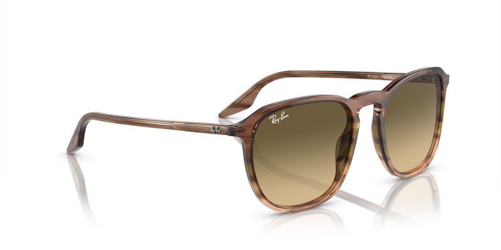 Ray-Ban | 0RB2203