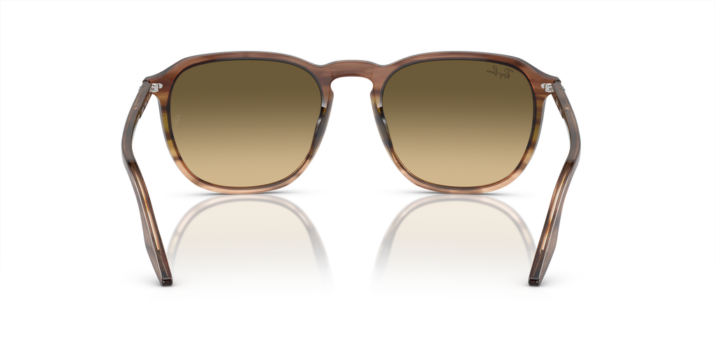 Ray-Ban | 0RB2203