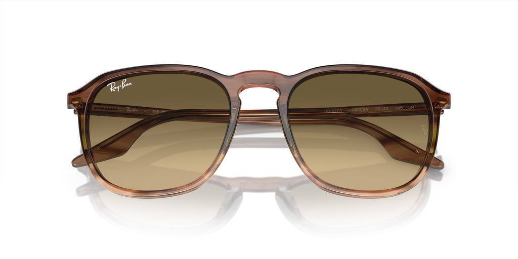 Ray-Ban | 0RB2203
