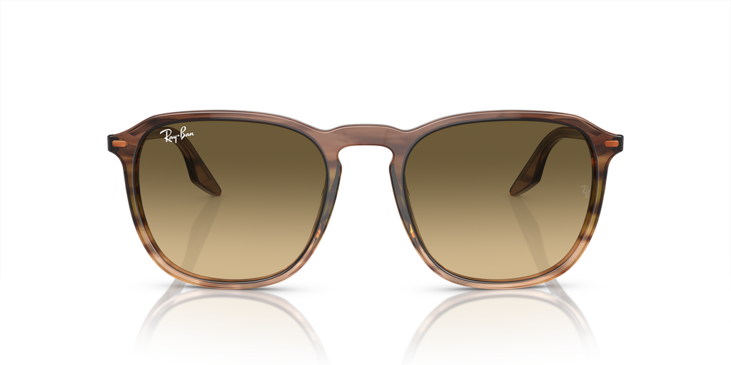 Ray-Ban | 0RB2203
