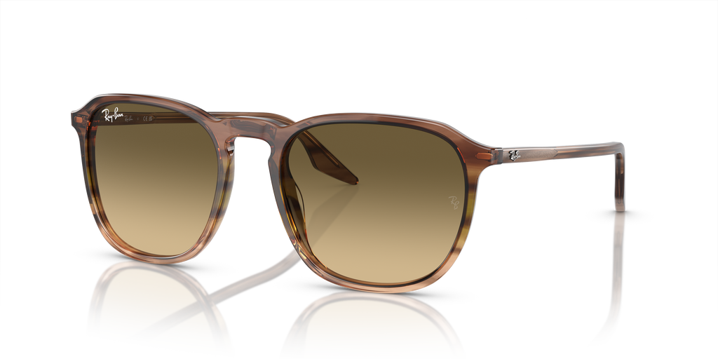 Ray-Ban | 0RB2203