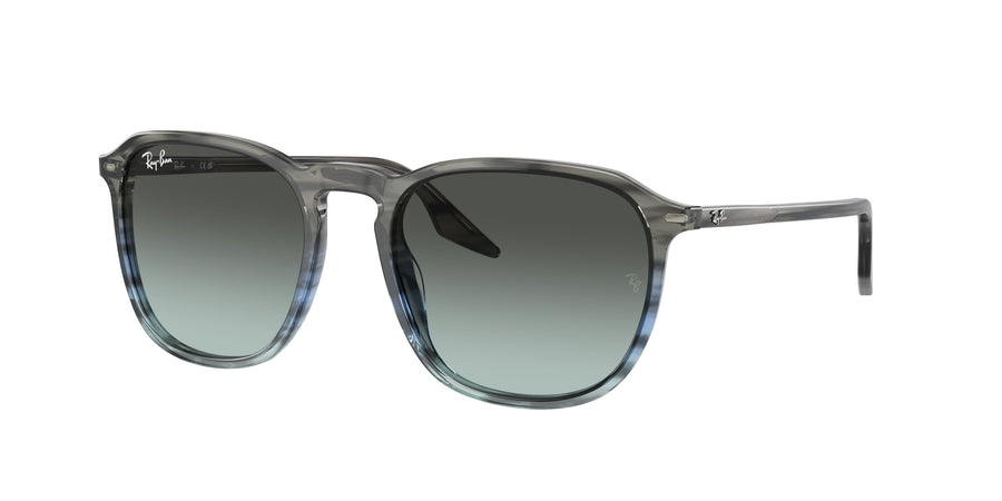 Ray-Ban | 0RB2203