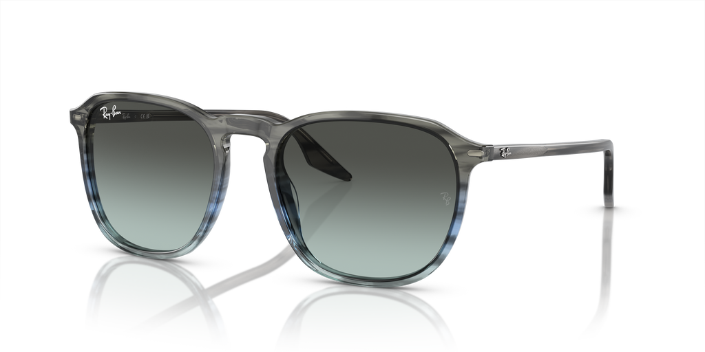 Ray-Ban | 0RB2203