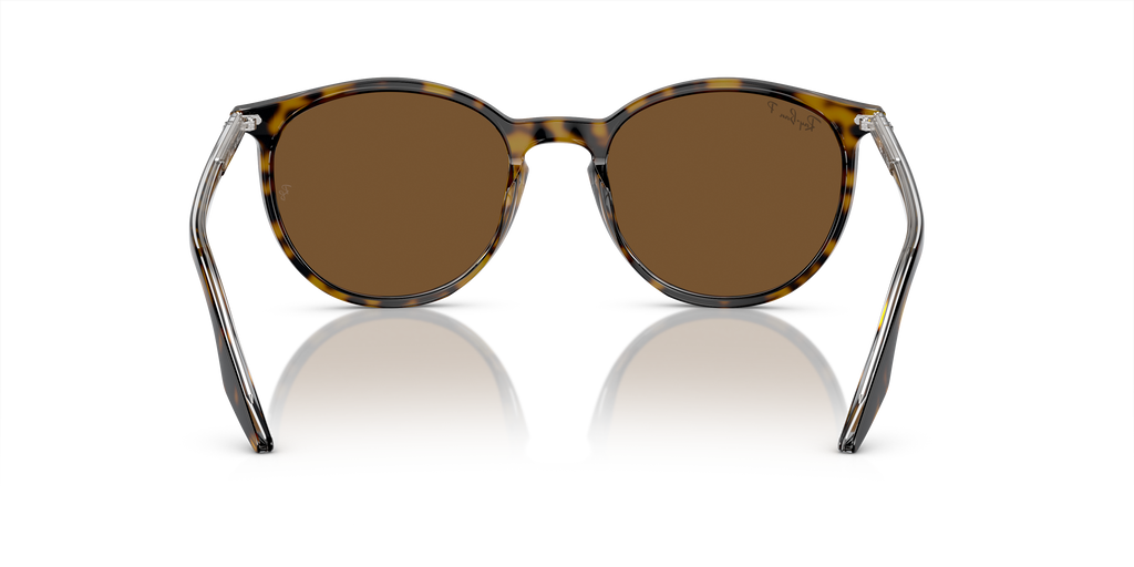 Ray-Ban | 0RB2204