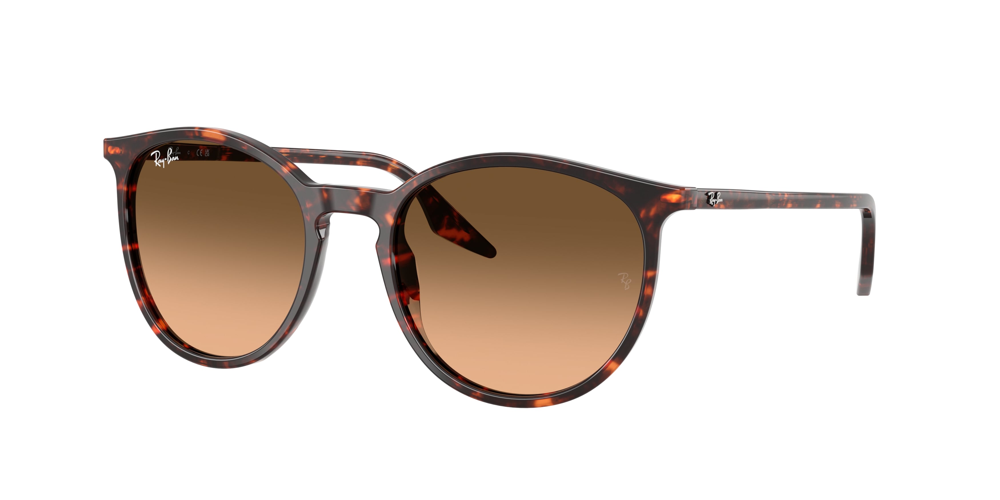 Ray-Ban | 0RB2204