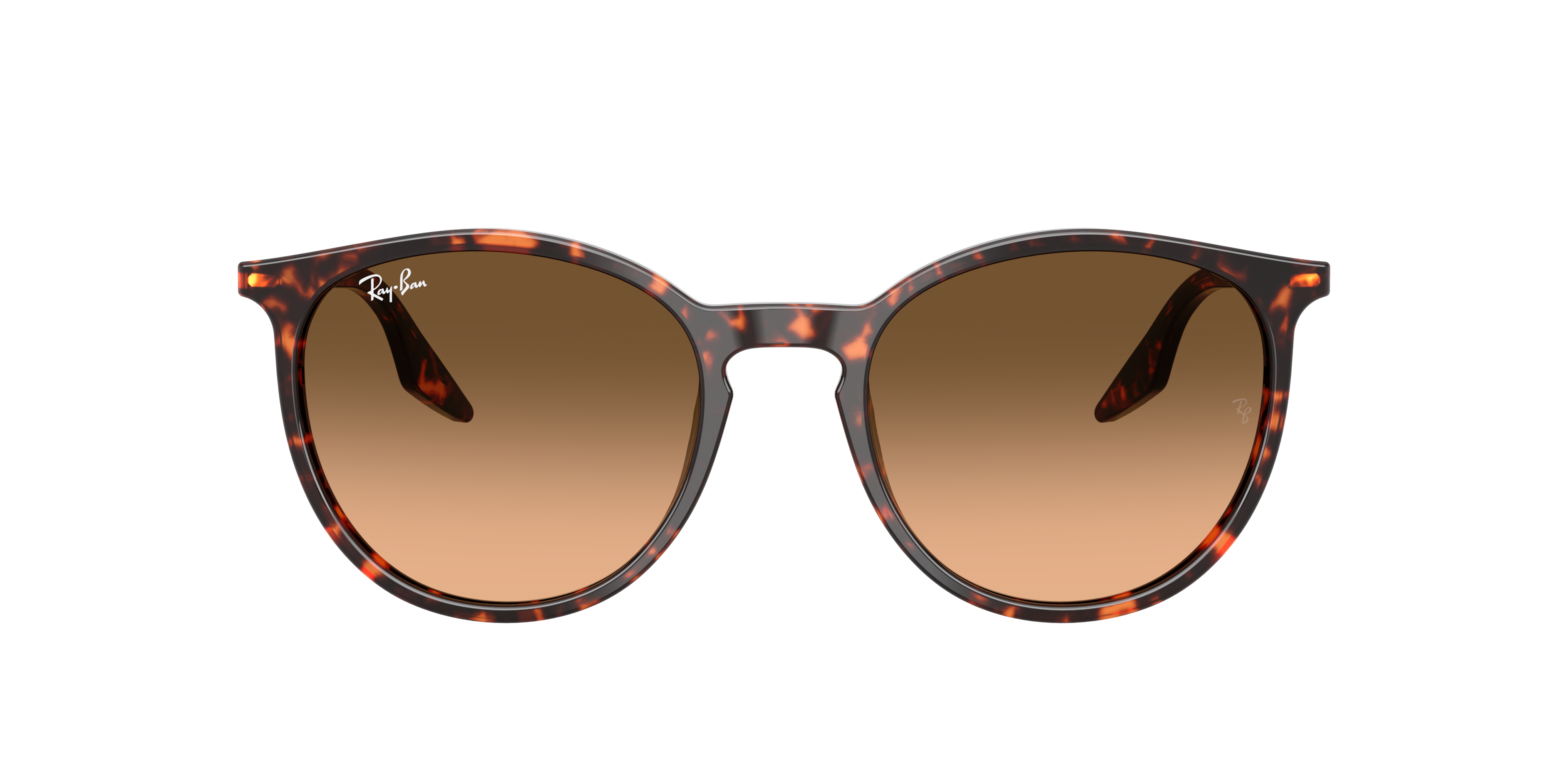 Ray-Ban | 0RB2204