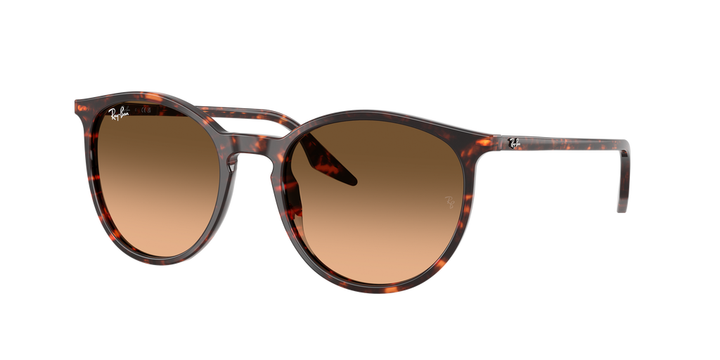 Ray-Ban | 0RB2204