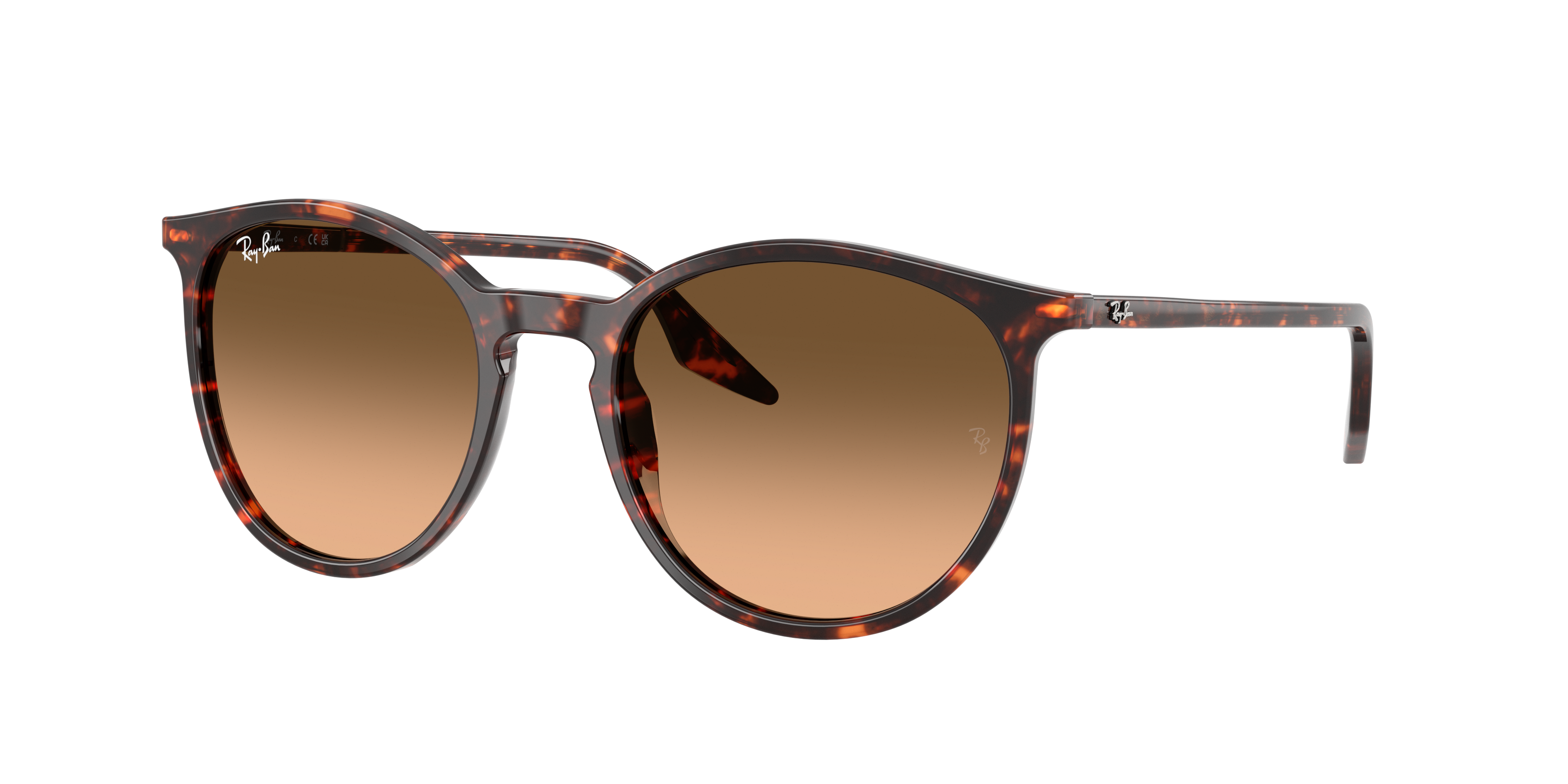 Ray-Ban | 0RB2204