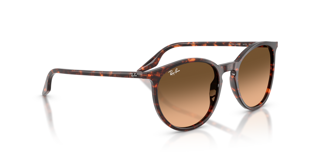 Ray-Ban | 0RB2204