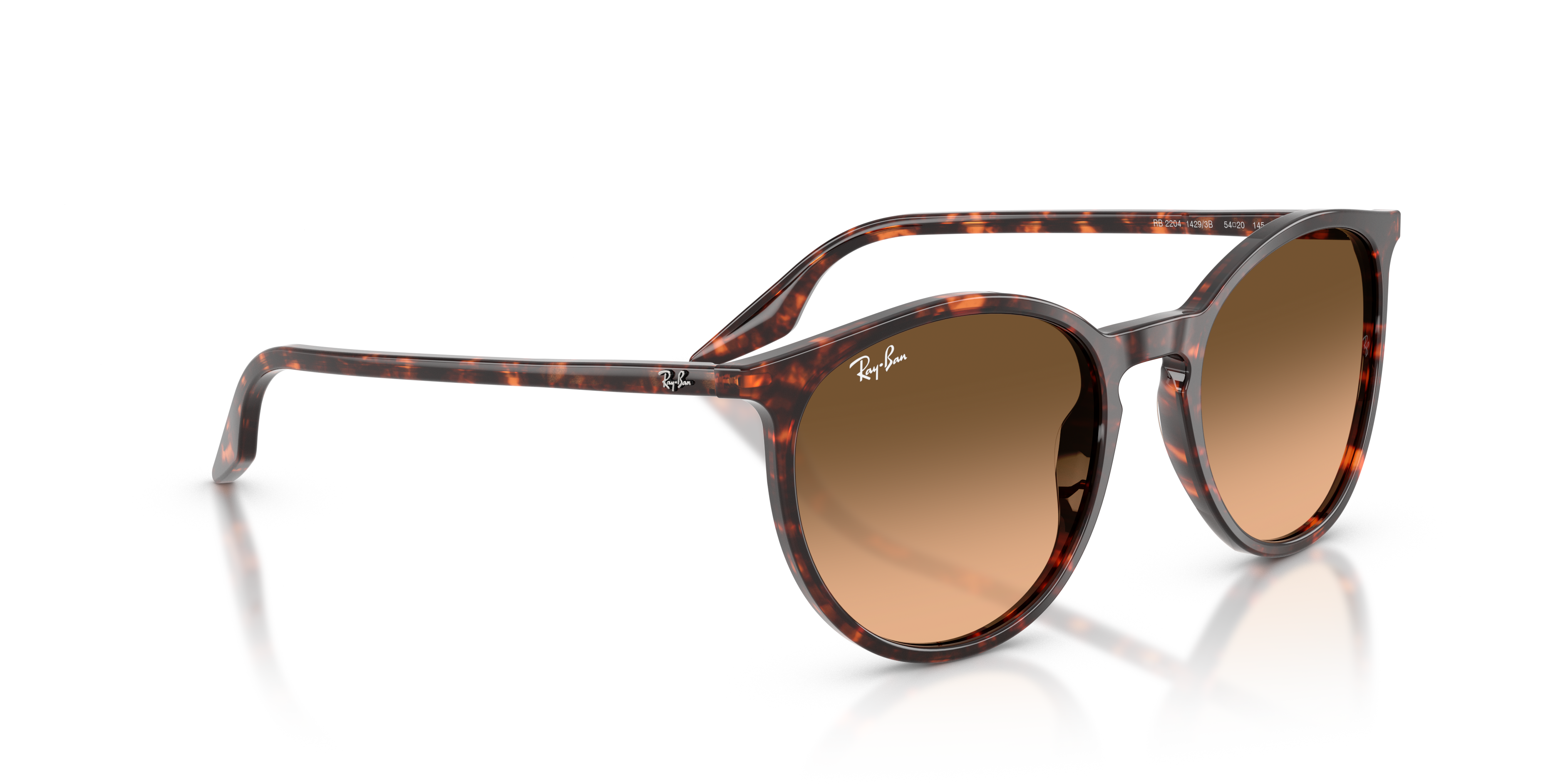 Ray-Ban | 0RB2204