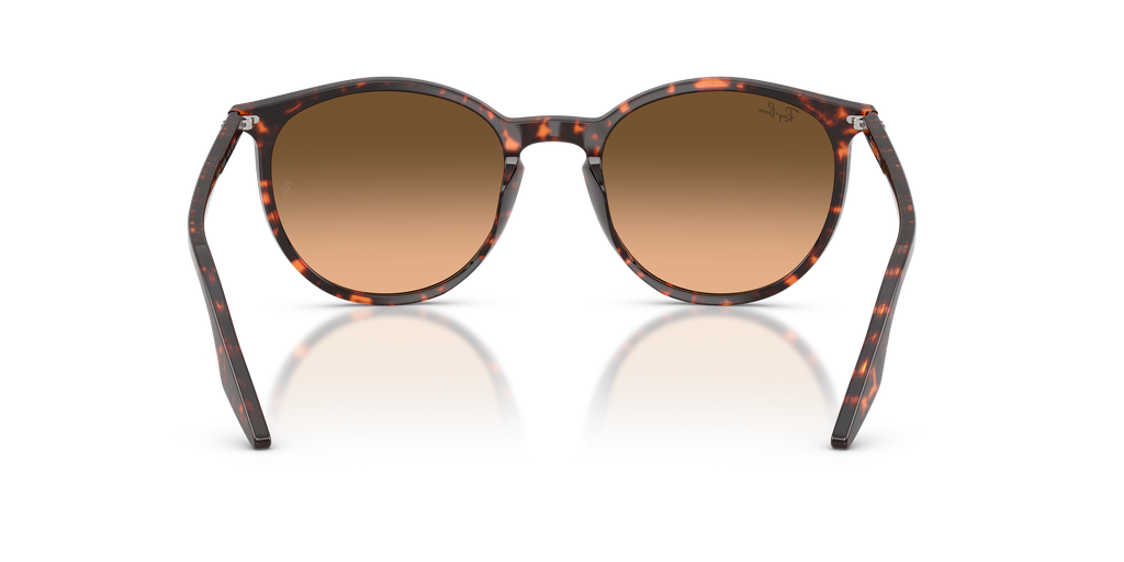 Ray-Ban | 0RB2204