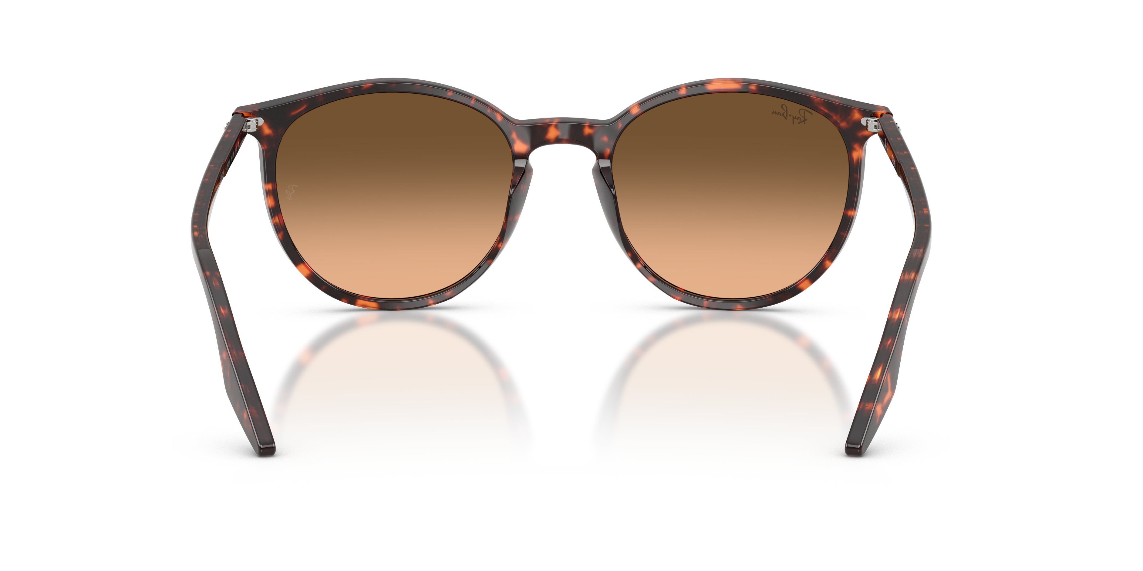 Ray-Ban | 0RB2204