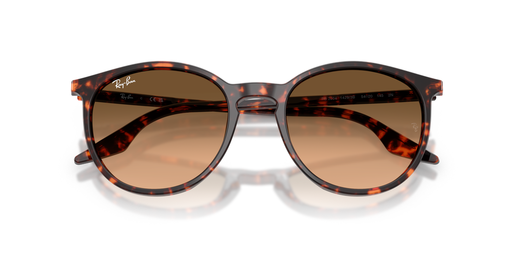 Ray-Ban | 0RB2204