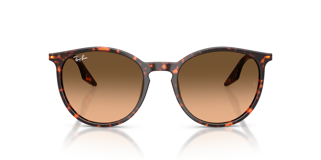 Ray-Ban | 0RB2204