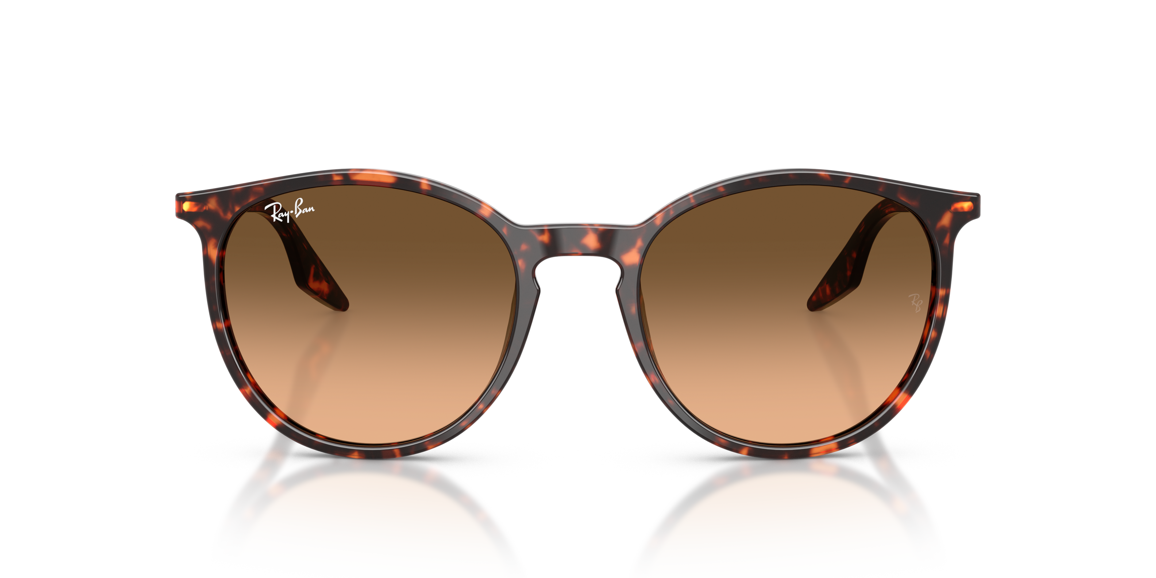 Ray-Ban | 0RB2204
