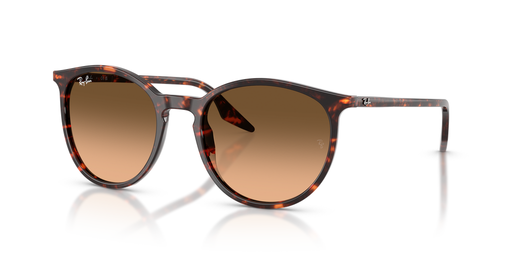 Ray-Ban | 0RB2204