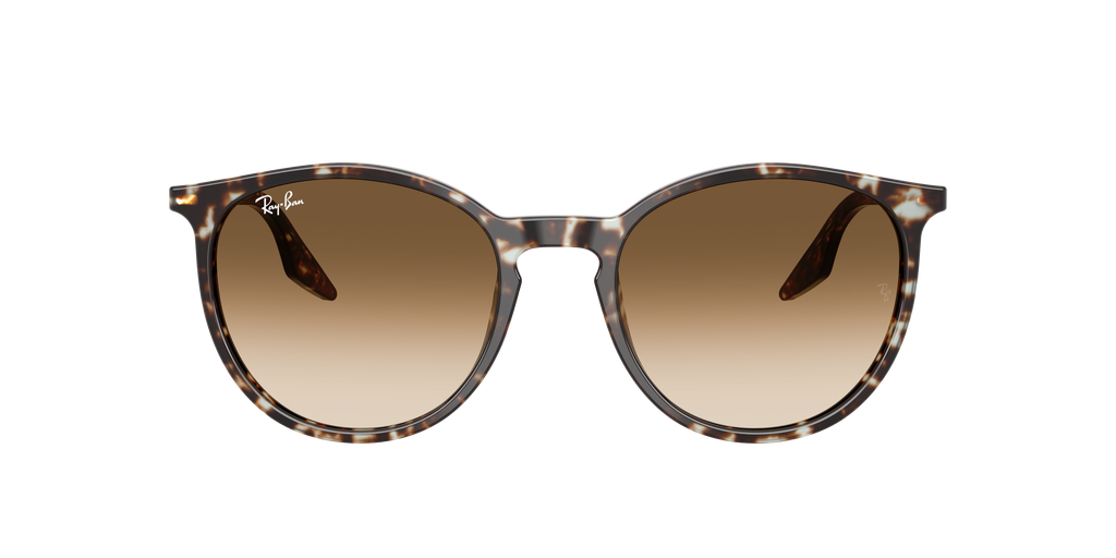Ray-Ban | 0RB2204