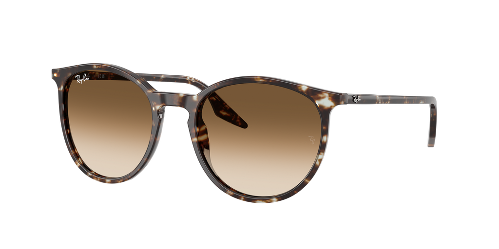 Ray-Ban | 0RB2204