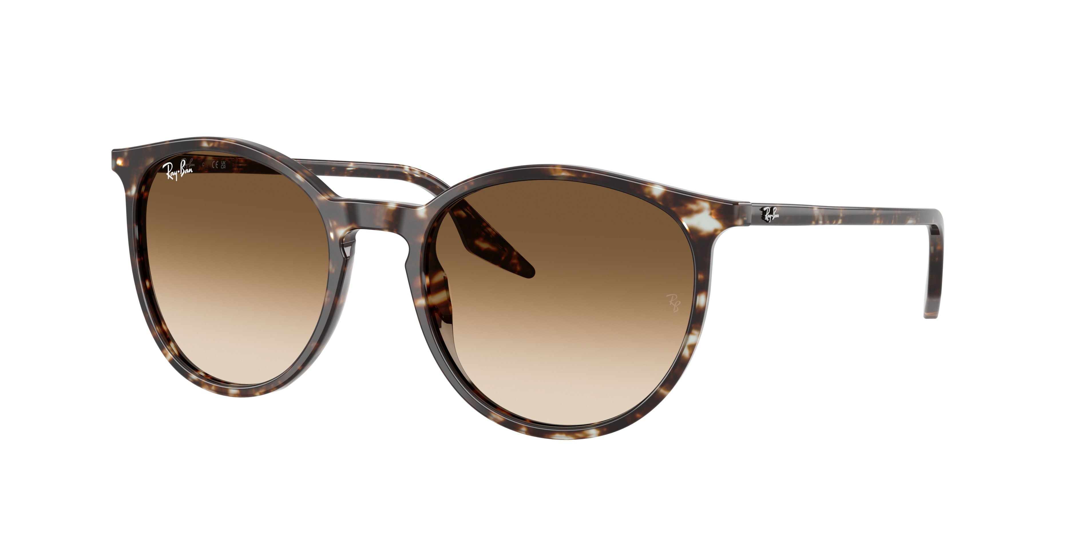 Ray-Ban | 0RB2204