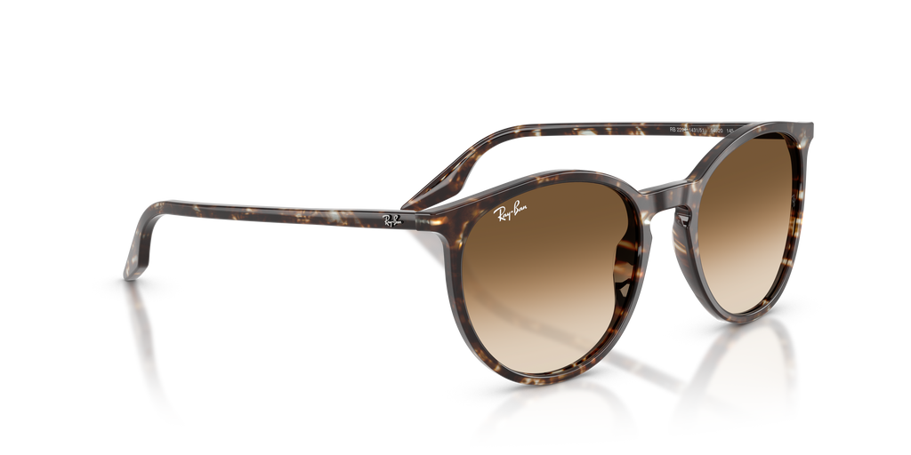 Ray-Ban | 0RB2204