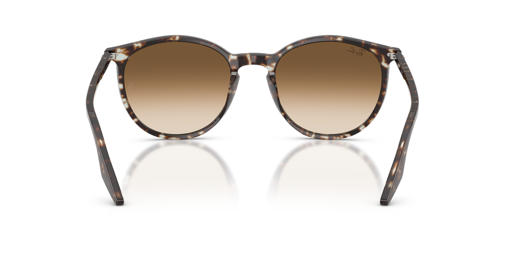 Ray-Ban | 0RB2204