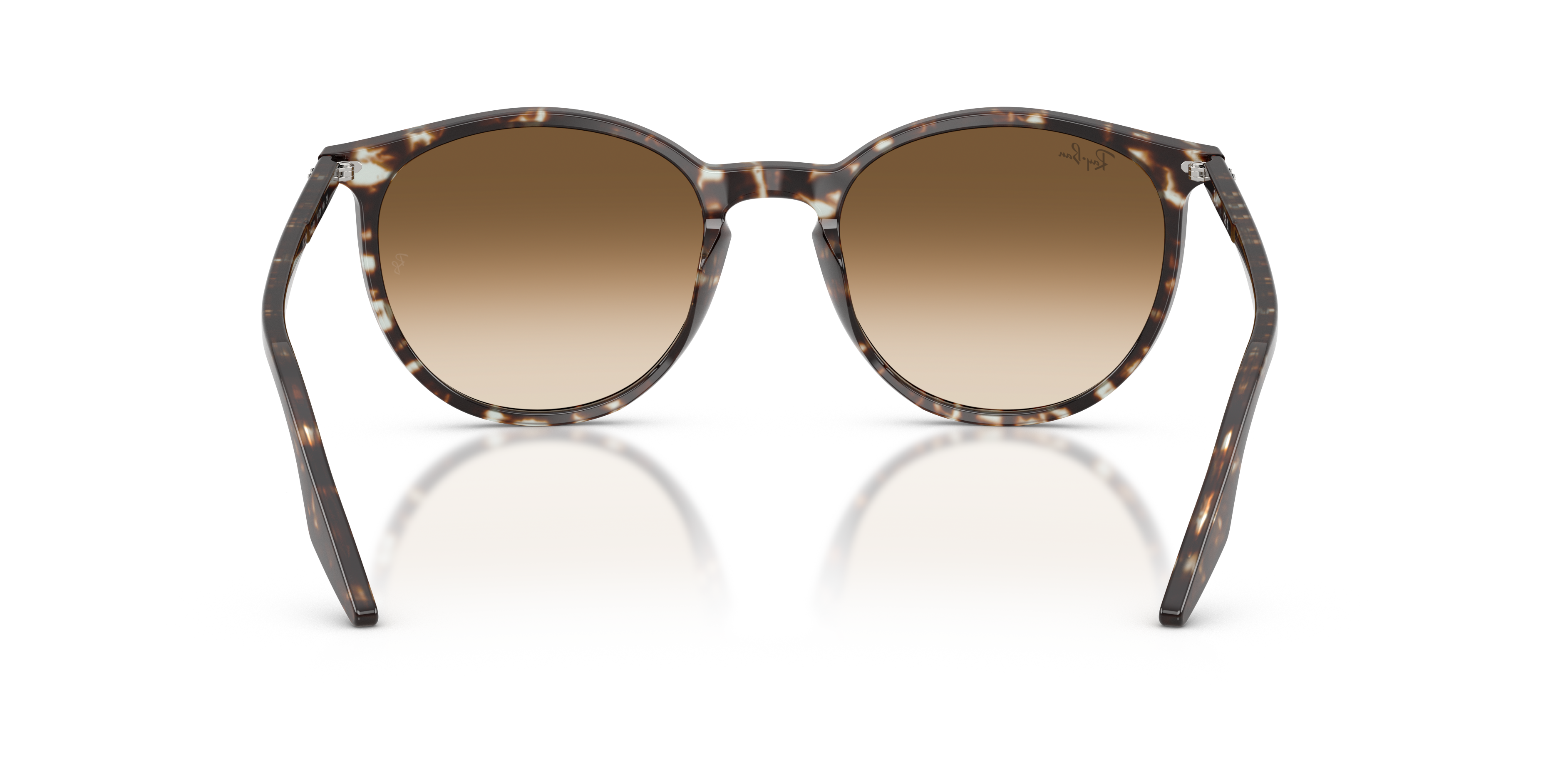 Ray-Ban | 0RB2204