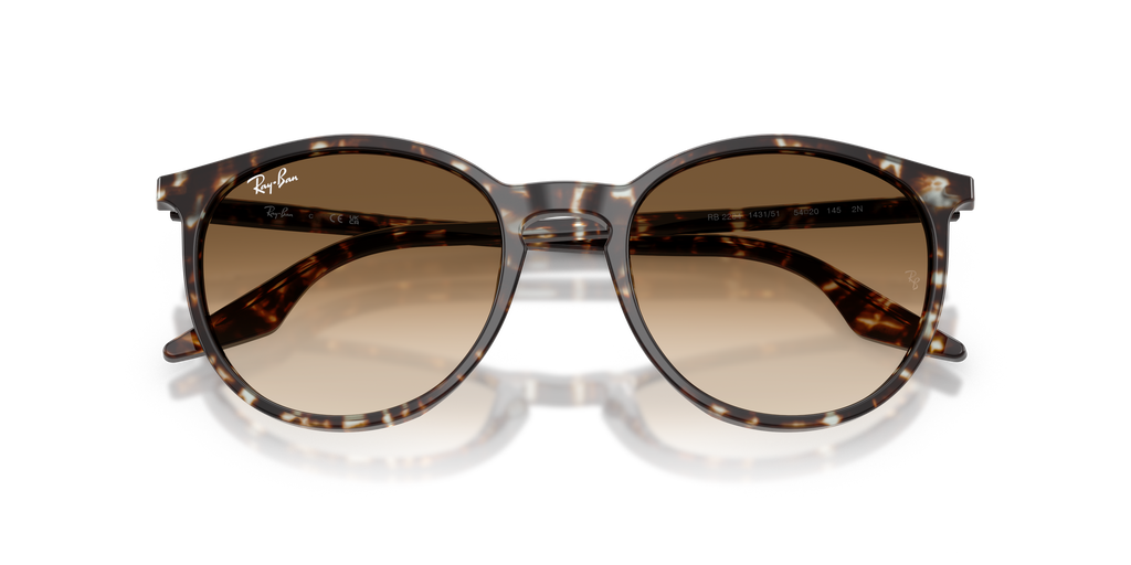 Ray-Ban | 0RB2204